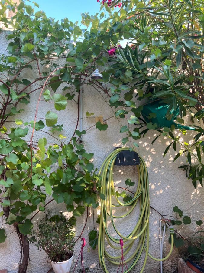 Corinth Cosy Guesthouse-Souterrain With Garden In City Center מראה חיצוני תמונה