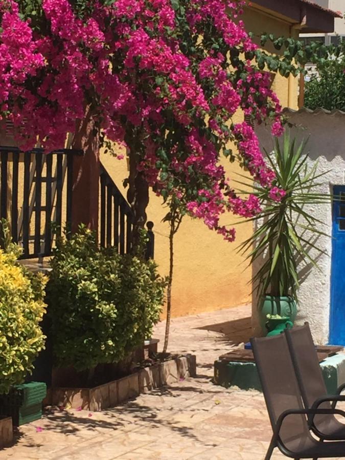 Corinth Cosy Guesthouse-Souterrain With Garden In City Center מראה חיצוני תמונה